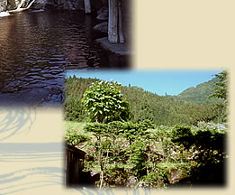 岩庭露天風呂からの風景